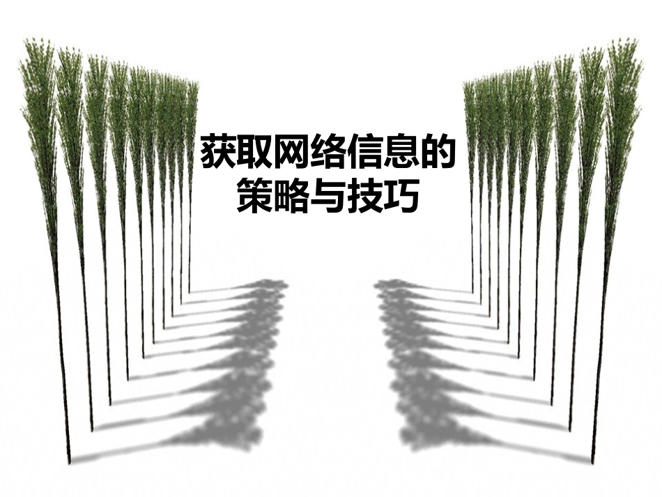 获取网络信息的策略与技巧_第1页