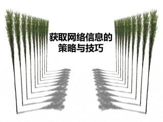 获取网络信息的策略与技巧
