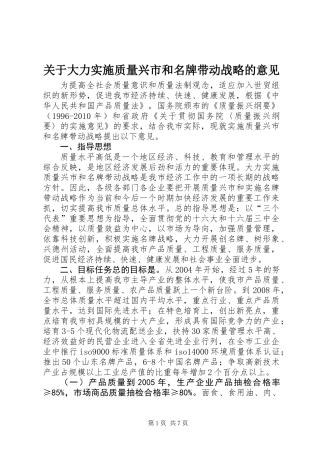 关于大力实施质量兴市和名牌带动战略的意见