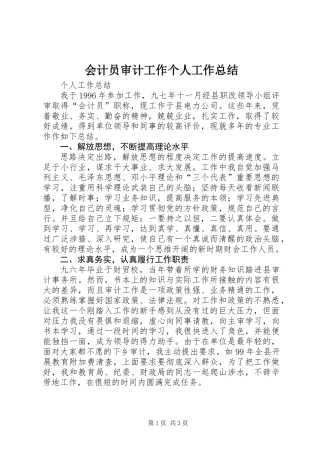 会计员审计工作个人工作总结