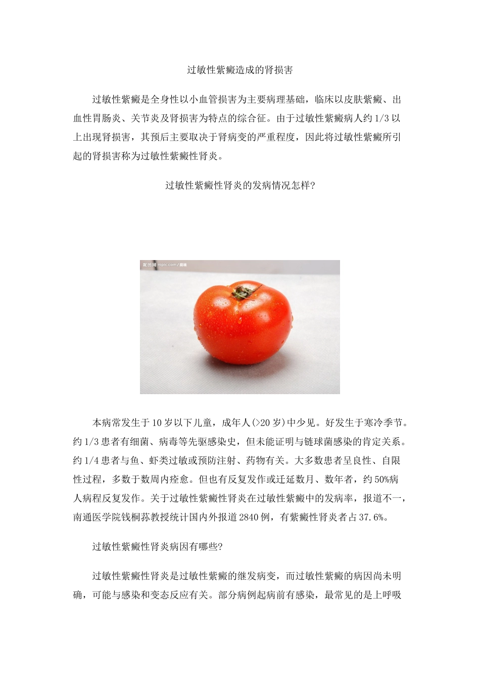 过敏性紫癜造成的肾损害_第1页