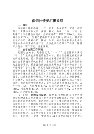 供销社情况汇报提纲