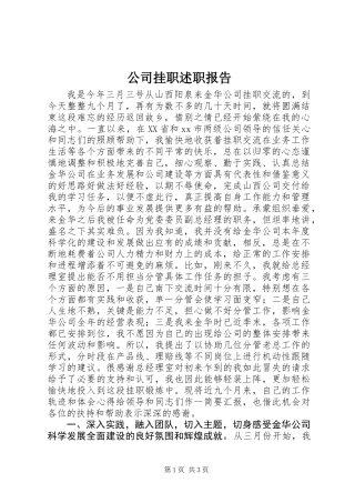 公司挂职述职报告 (2)