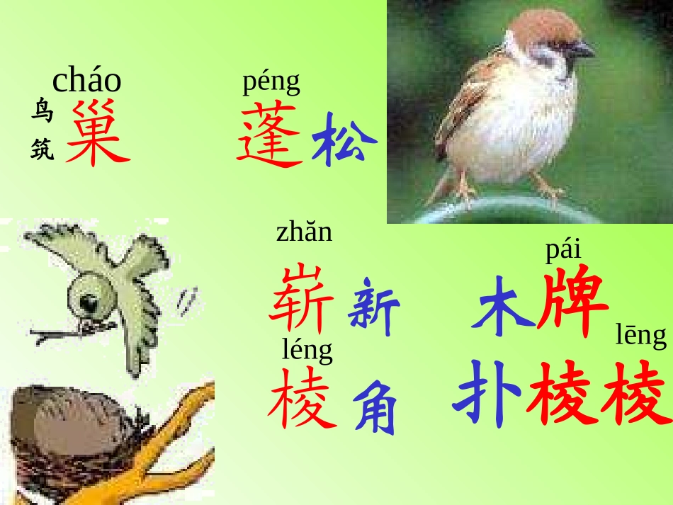 新课标人教版第三册语文“红领巾”真好优质课件下载3_第2页