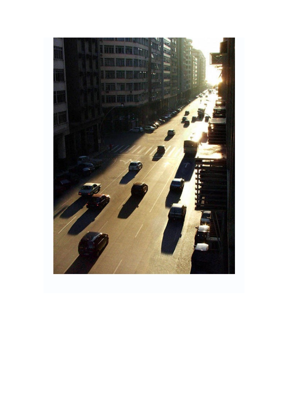 合成游走在繁华都市的大象_第2页