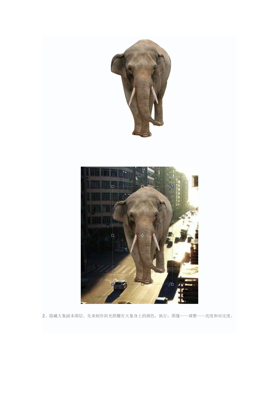 合成游走在繁华都市的大象_第3页