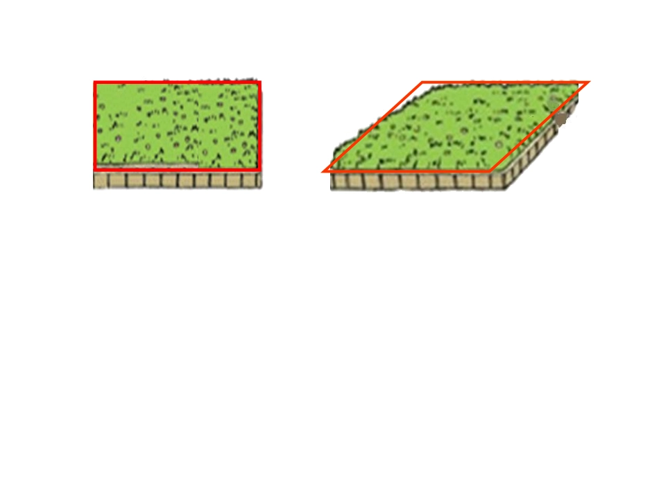 平行四边形面积(郑利秀）_第3页