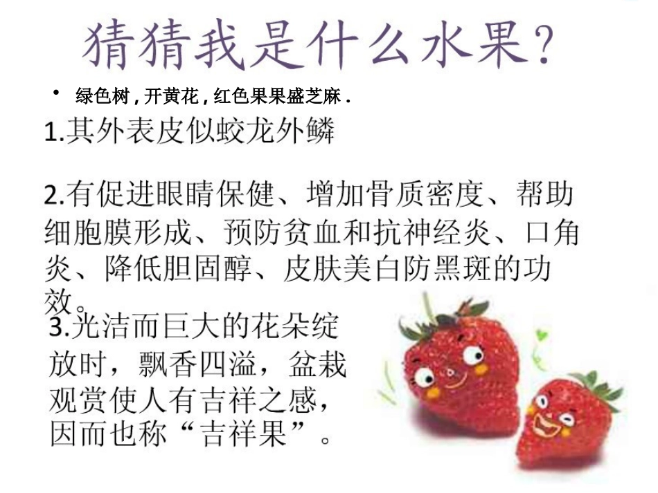 丰富的岭南佳果_第3页