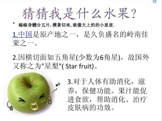 丰富的岭南佳果