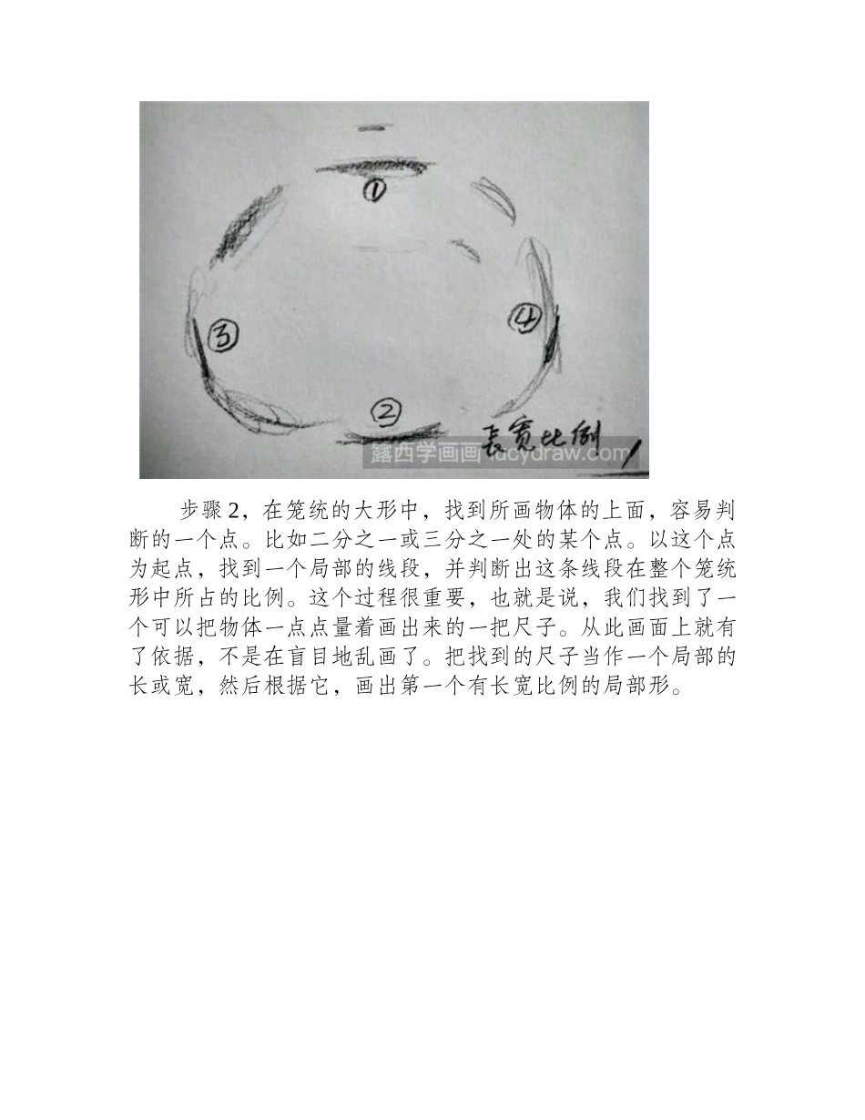 南瓜速写教程速写教程1_第2页
