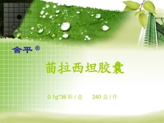 茴拉西坦胶囊(模板新)