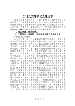 公司党支部书记党建述职