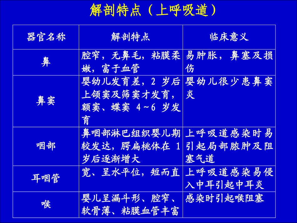 呼吸系统解剖_第2页