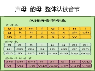 声母韵母整体认读音节