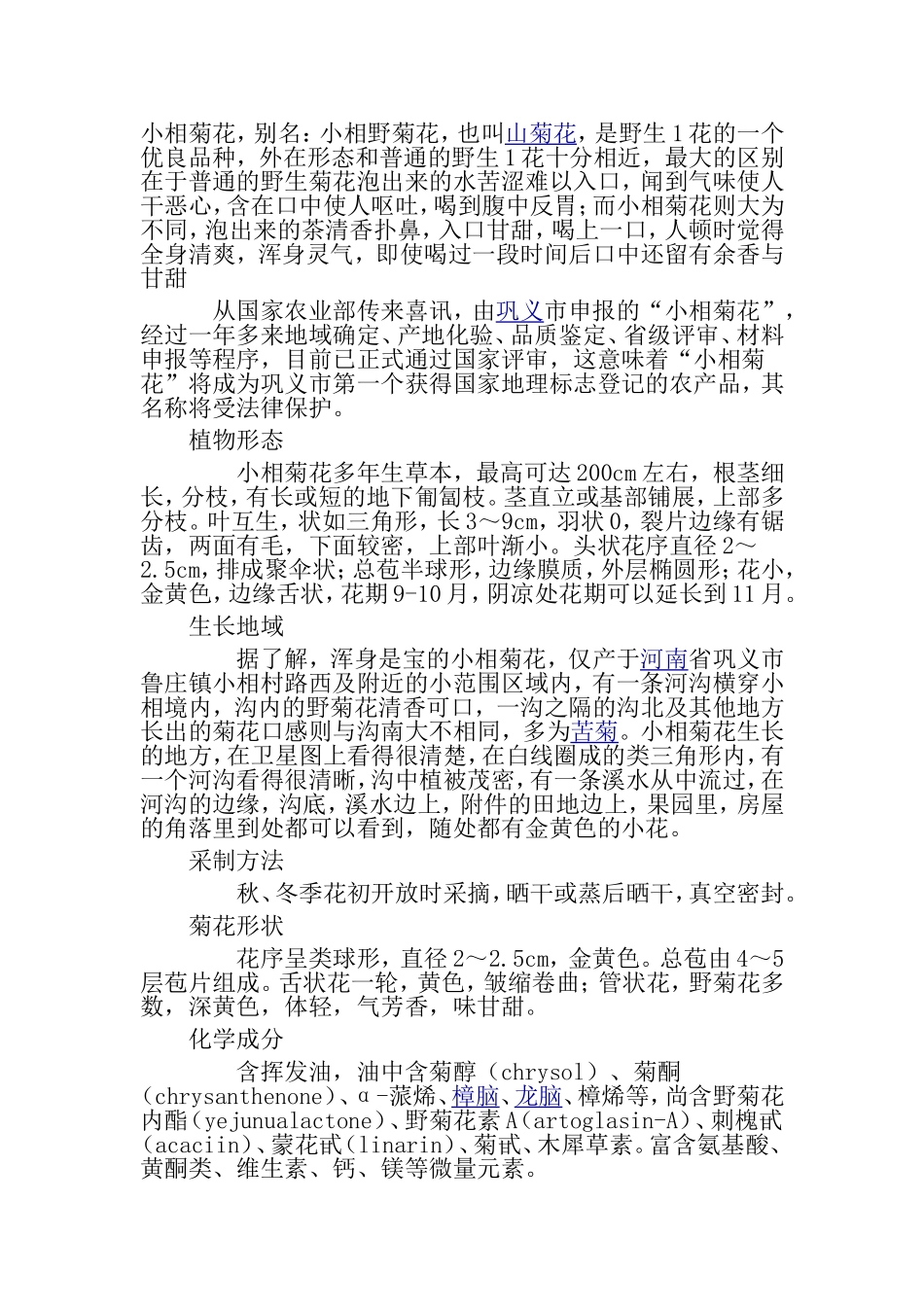 巩义小相菊花_第1页