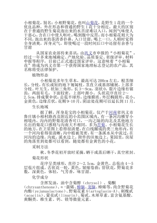 巩义小相菊花