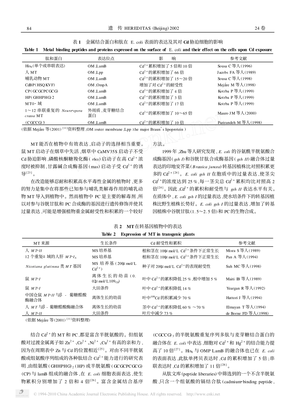 金属结合蛋白基因及其在清除重金属污染中的应用_第3页