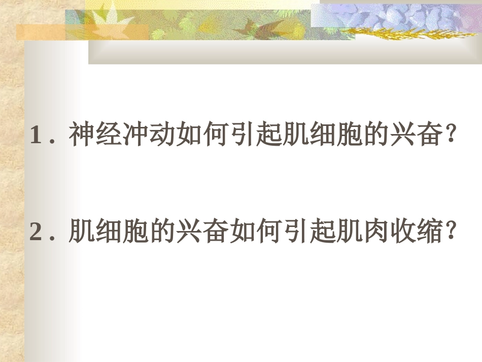 肌肉收缩机理_第2页