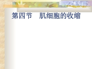 肌肉收缩机理