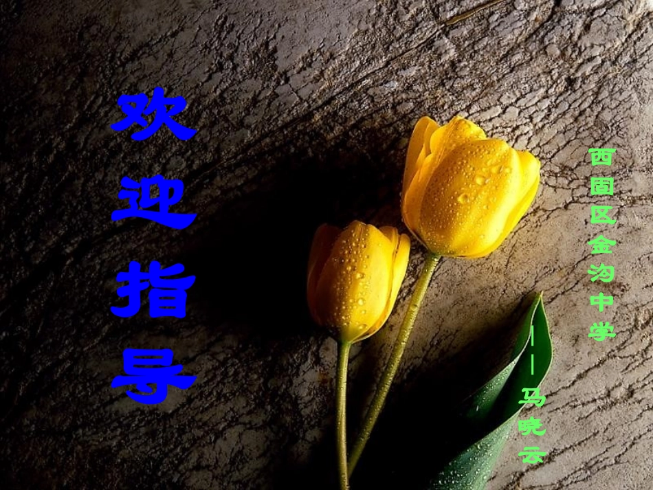 《绿》课件（自制）_第1页