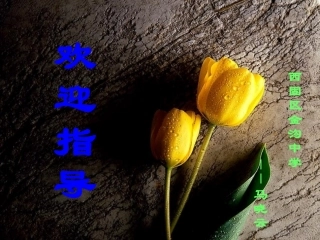 《绿》课件（自制）