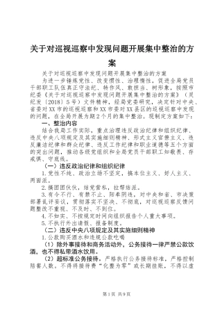 关于对巡视巡察中发现问题开展集中整治的方案