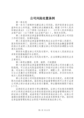 公司风险处置条例