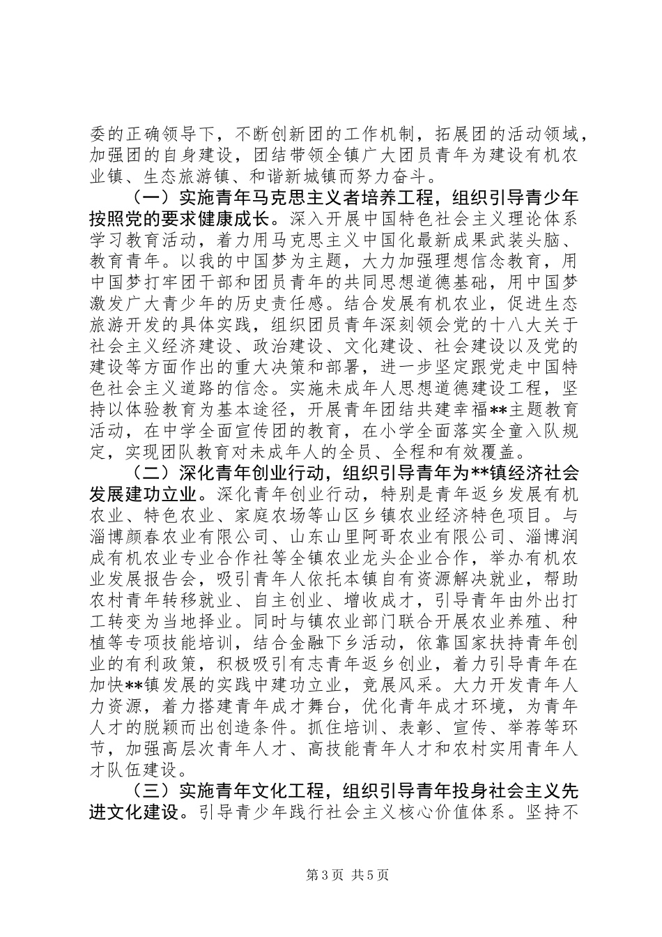 共青团工作报告_第3页