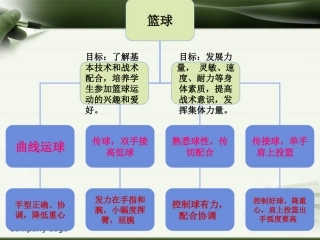 篮球知识结构图
