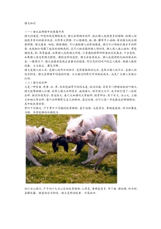 教你怎样选猎犬、训猎犬