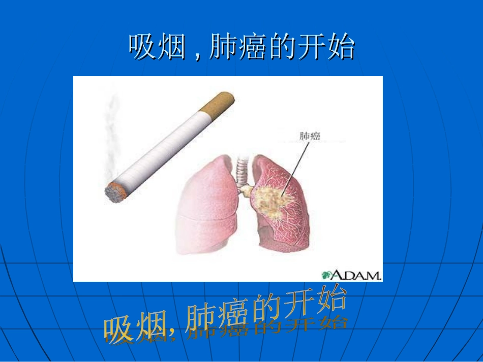 主题班会-吸烟有害健康__第3页