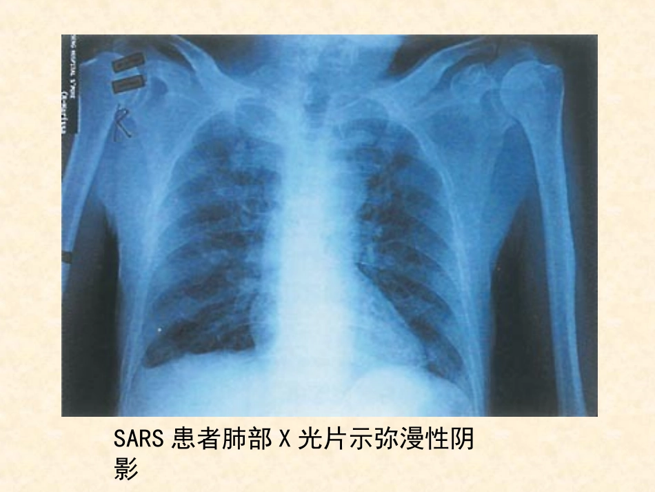 生物①必修11《从生物圈到细胞》PPT课件_第3页