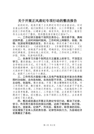 关于开展正风肃纪专项行动的整改报告