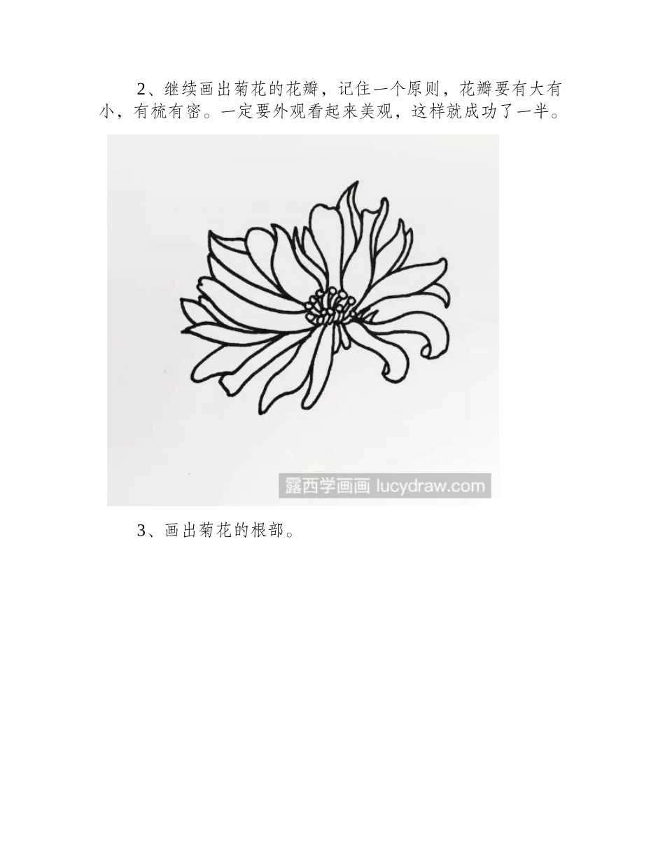 菊花用针管笔怎么画_菊花的针管笔简单画法步骤！简笔画教程2_第2页