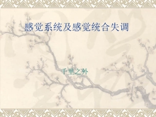 感觉系统及感觉统合失调