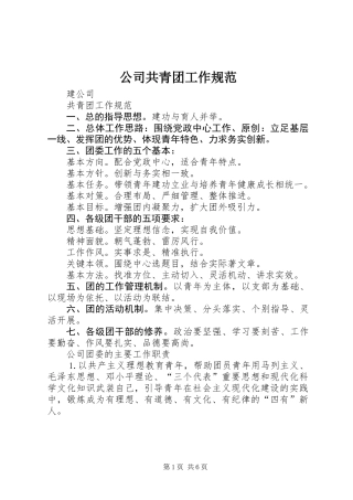 公司共青团工作规范