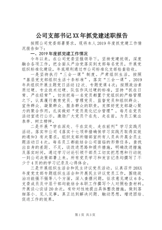 公司支部书记XX年抓党建述职报告