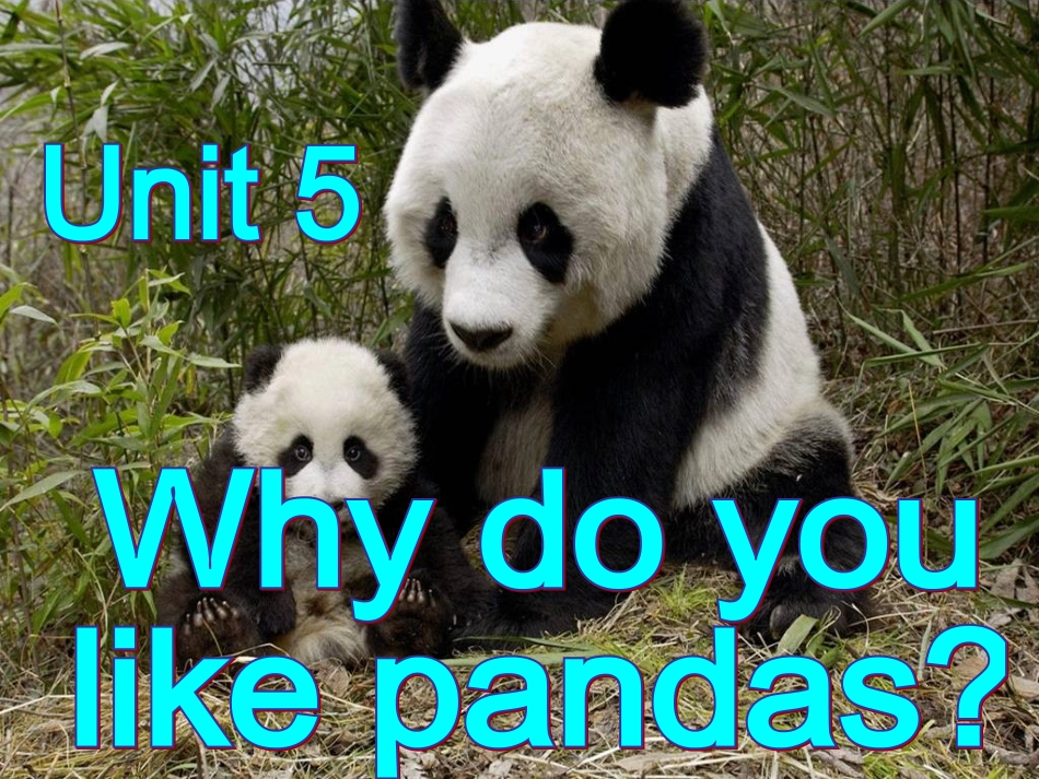 （七年级英语下）Unit5Whydoyoulikepandans(SectionA11a~1c)_第1页