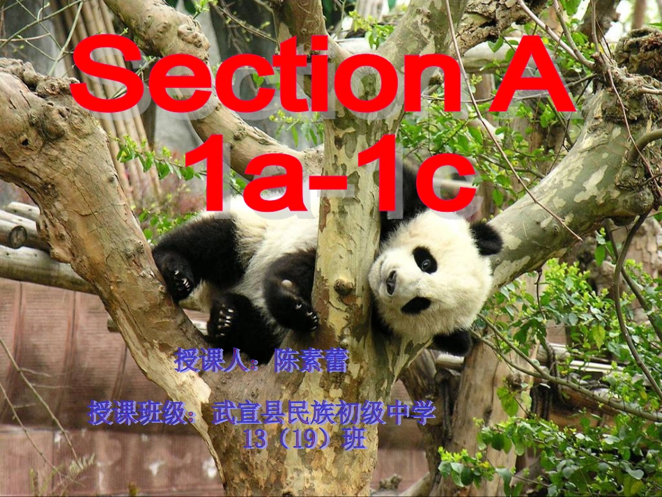 （七年级英语下）Unit5Whydoyoulikepandans(SectionA11a~1c)_第3页