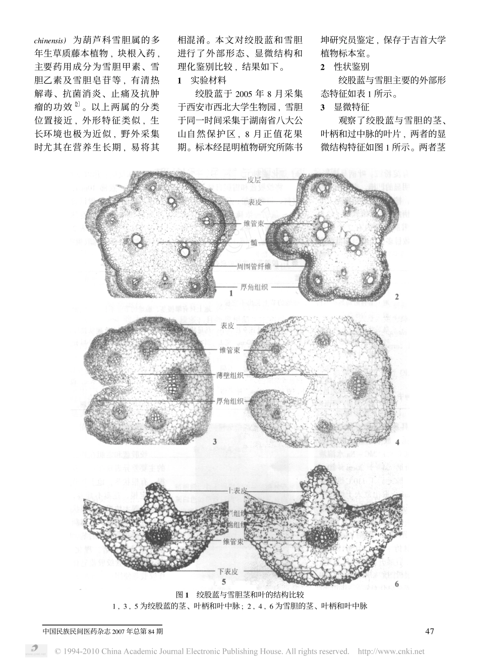 绞股蓝与易混淆品雪胆的鉴别_第2页