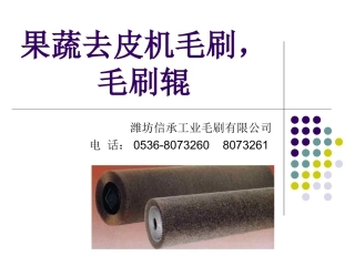 果蔬去皮机毛刷,毛刷辊