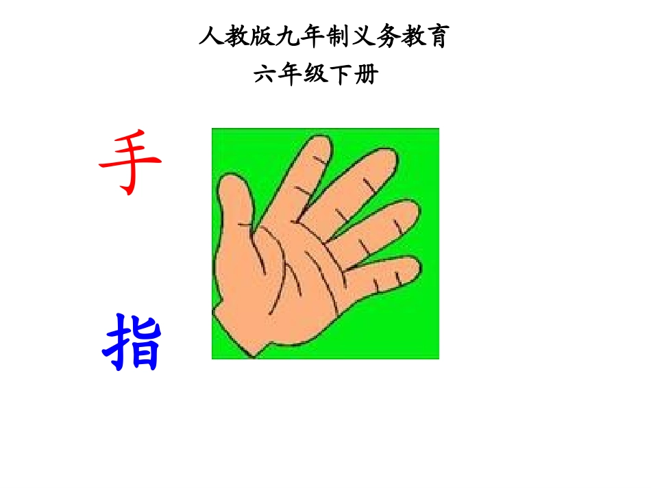 《手指》_课件_第1页