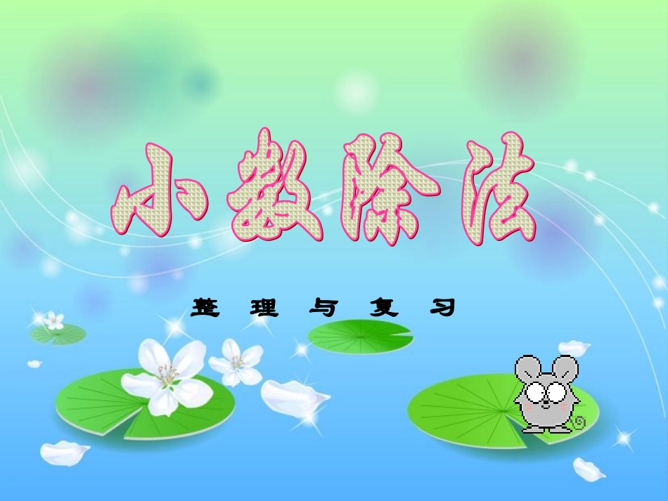 小数除法整理与复习_第1页