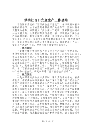 供销社百日安全生产工作总结