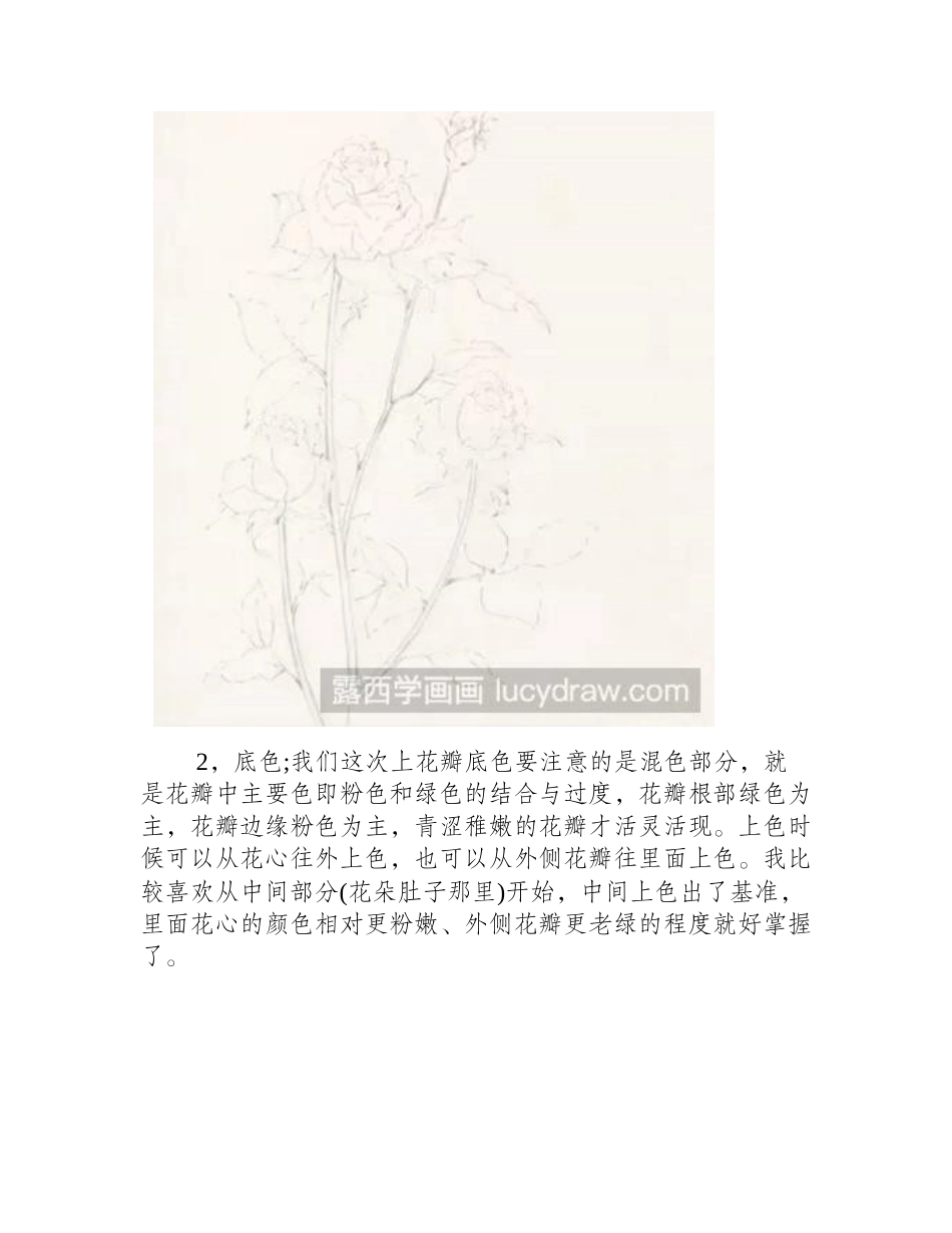 玫瑰水彩画教程水彩画教程_第2页
