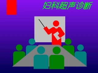 妇科超声诊断29