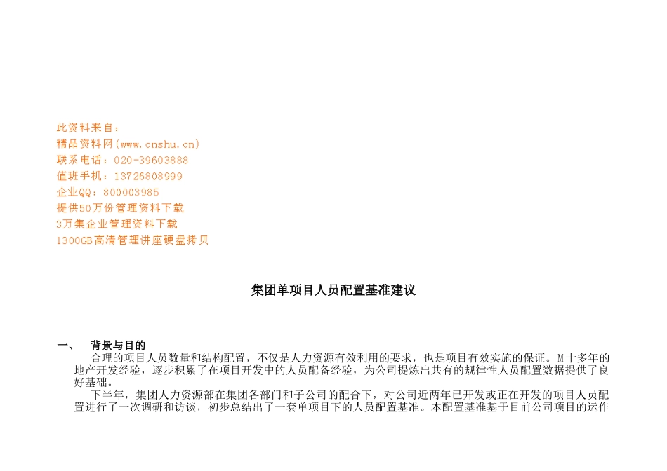 集团单项目人员配置建议书_第1页