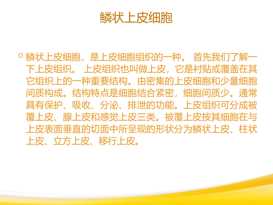 宫颈鳞状上皮增生显著_第2页