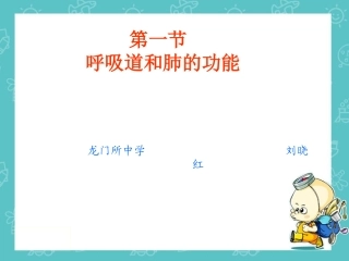 呼吸道和肺的功能