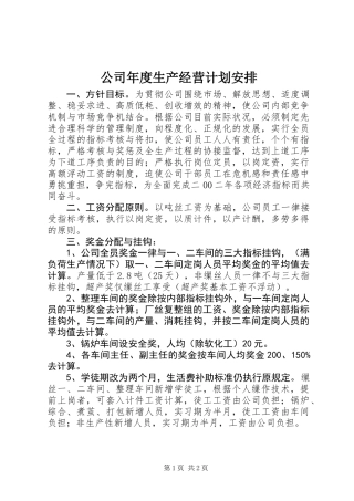 公司年度生产经营计划安排